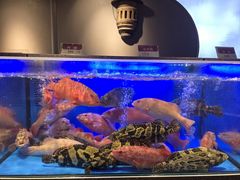 -稻香酒家·35年老字号(侨光店)