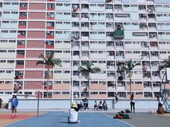 -彩虹村