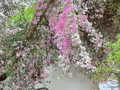 -深圳国际园林花卉博览园