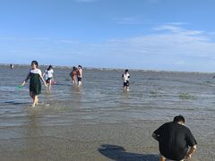 -奉贤海滩