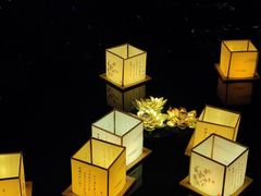 -尚湖风景区