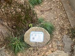 -汇龙潭