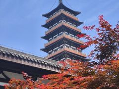 -大明寺素斋