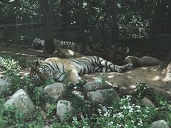 -西安秦岭野生动物园