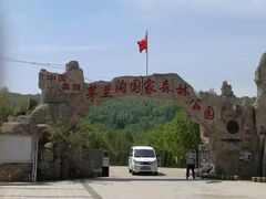 -茅兰沟国家森林公园