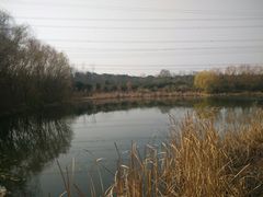 -昆山城市生态森林公园