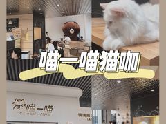 -瞄一喵猫咖(格力海岸店)