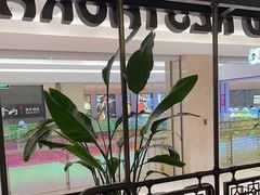 -旺顺阁鱼头泡饼(常营店)