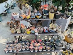 -禾气食店