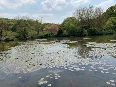 -白马涧龙池景区