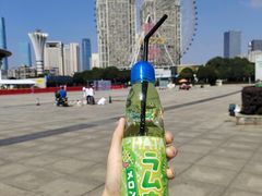 -星城之眼摩天轮