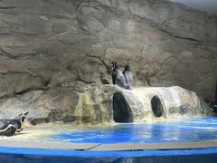 -秦皇岛新澳海底世界