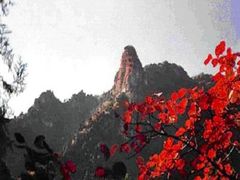 -北京上方山国家森林公园