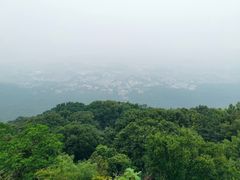 -紫金山山顶公园