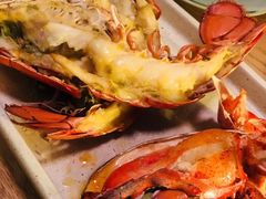 波士顿龙虾-EN SPACE恩空间