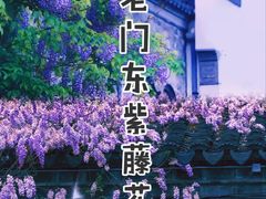 -老门东历史文化街区