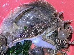 -日照大牌檔•小船海鲜(万平口店)
