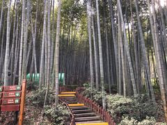 -天目湖涵田度假村