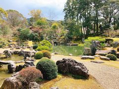-醍醐寺