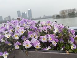 -玄武湖景区-情侣园游乐场
