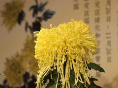-汇龙潭