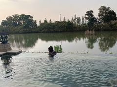 -苏州湾·王焰温泉