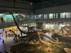 -自贡恐龙博物馆