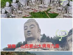 -蒙山大佛景区