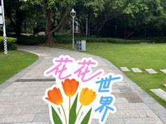-金鸡山公园