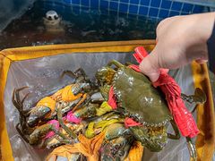 -辣螃铠盆盆蟹大排档(总店)