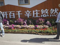 -辛庄国际文化艺术区