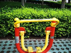-莲花池公园
