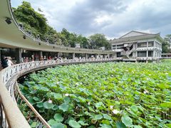 -荔湾湖公园