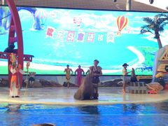 -三亚海昌梦幻海洋不夜城