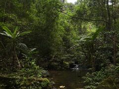 -海南热带雨林国家公园吊罗山景区