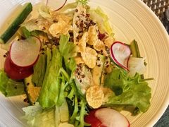 三色藜麦蔬菜沙拉-翡翠鸟精品泰国菜(北辰财富中心店)