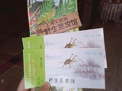 照片-6503-上海大自然野生昆虫馆