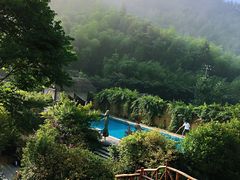 -看见远方·莫干遥远的山民宿