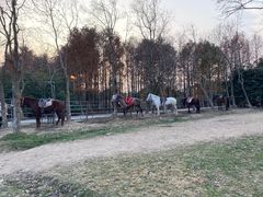 -上海海湾国家森林公园