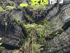 -梭布垭石林景区