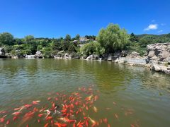 -北京西山国家森林公园