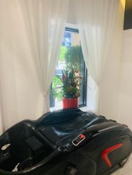 点击看大图 -Garden花園造型