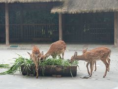 -金沙遗址博物馆