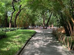 -晓港公园