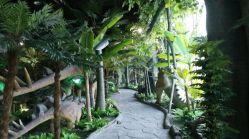 -恐龙探索乐园(磁器口店)