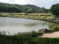 -东莞植物园