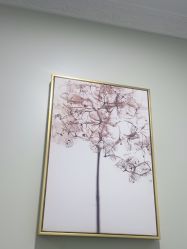 -弘美医美·艾维岚童颜抗衰中心