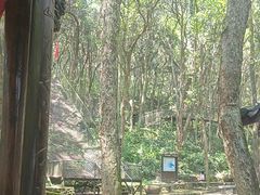 -富春桃源风景区