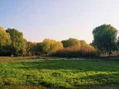-长广溪湿地公园