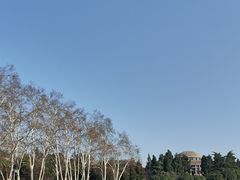 -武汉大学-樱园